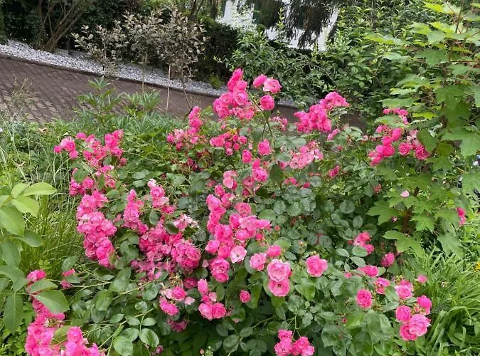 Apartamento Freiblick 1 Bad Glbg Mit Garten Top1